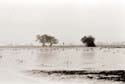 chelmsford0041