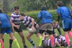 rugby-239