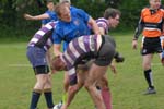 rugby-247