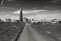 dungeness005