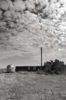 dungeness007