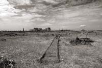 dungeness012