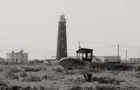 dungeness018