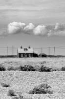 dungeness020