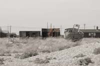 dungeness021