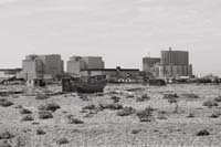 dungeness023