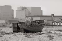 dungeness024