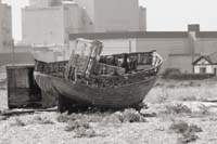 dungeness025