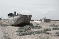 dungeness028