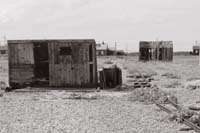 dungeness030