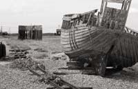 dungeness031