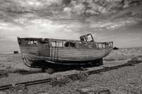 dungeness034