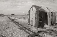 dungeness036