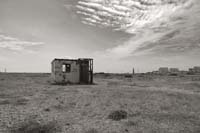 dungeness038