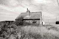 dungeness039