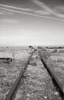 dungeness040