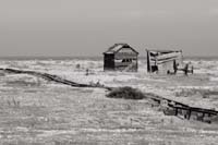 dungeness041