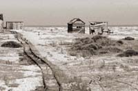 dungeness042