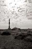 dungeness045