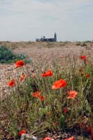 dungeness047