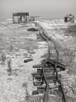 dungeness050