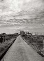 dungeness051