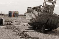 dungeness052