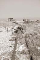 dungeness060