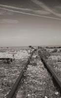 dungeness061