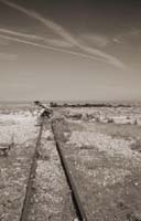 dungeness062