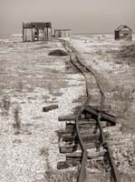 dungeness063