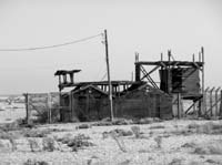 dungeness064