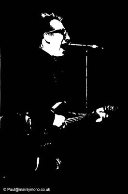 Elvis Costello