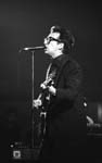 elvis-costello027