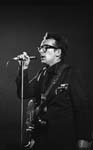 elvis-costello041