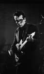 elvis-costello046