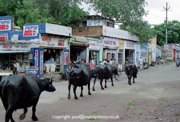 paul smith india005