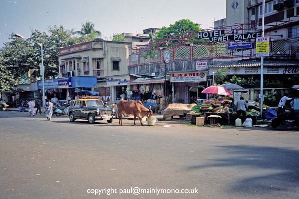 paul smith india043