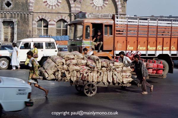 paul smith india055