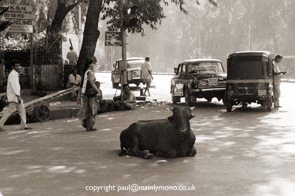 paul smith india101
