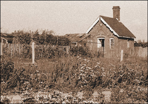[Fosse Road North Allotments, Leicester by Paul Smith]