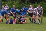 rugby-080
