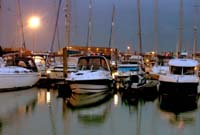 small boats Newhaven Harbour