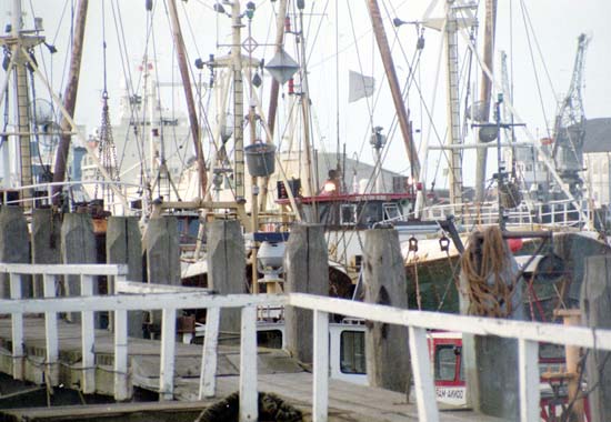 Newhaven Harbour Crowded]