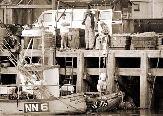 looking on Newhaven Harbour