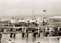 fishingboats Newhaven Harbour