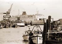 parisen turning Newhaven Harbour