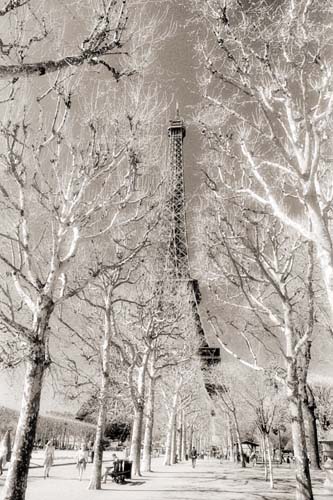 Paris Eiffel Tower by Paul Smith
