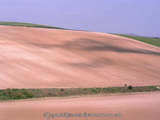 telscombe010