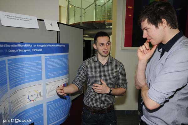 posters2012-001
